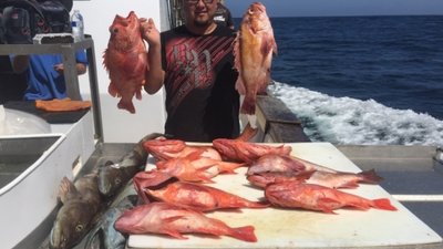 Read more about the article Yellowtail fishing and Rockfishing at the Channel Islands