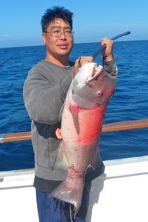 Fishing Sheephead Channel Islands Aloha Spirit
