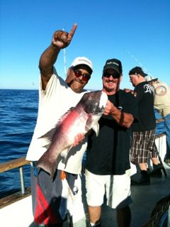 Pacific Islander SheepHead Fishing