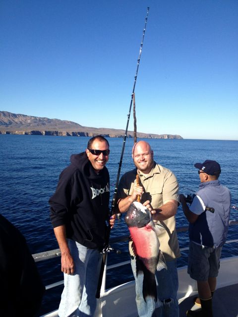 Speed Twin Channel Islands Sheephead