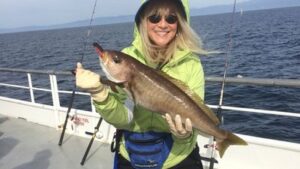 Read more about the article December 2015 fishing in the Channel Islands – First Week