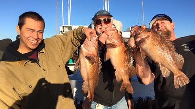 Read more about the article Channel Islands Sportfishing Report for December 20, 2015