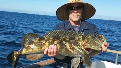 You are currently viewing Winter fishing in the Channel Islands