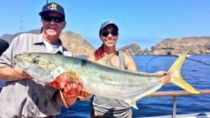 Read more about the article Yellowtail bite slows due to water conditions