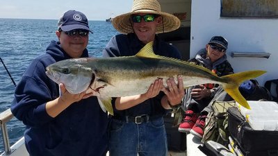 You are currently viewing Sportfishing in the Channel Islands. Good Yellowtail fishing