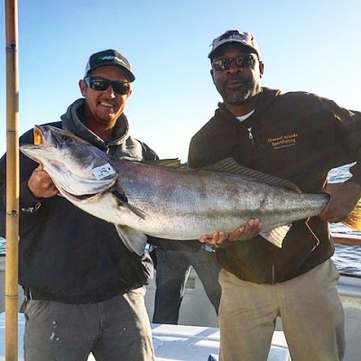 White Seabass and Yellowtail are still around – Channel Islands