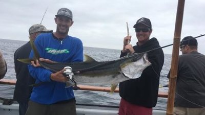 Read more about the article Fish Report – Yellowtail Fishing continues