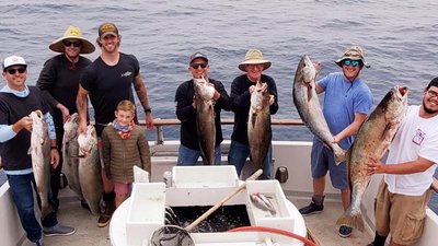 Read more about the article The White Seabass fishing is here!