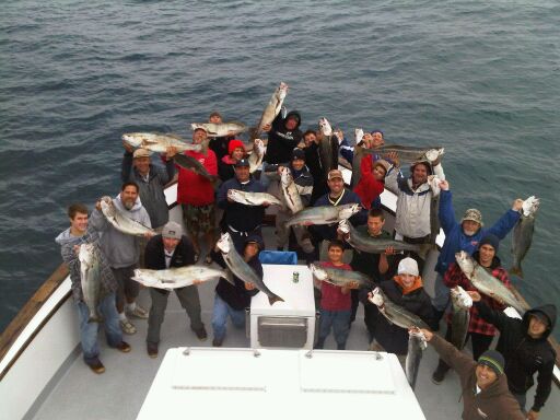 Channel Islands White Seabass fishing