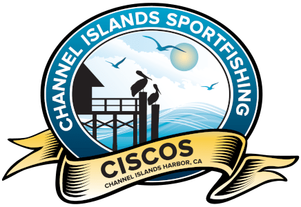 You are currently viewing Channel Islands Sportfishing weekly report