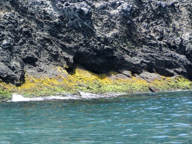 i Tour Anacapa Island Channel Islands Whale Watching
