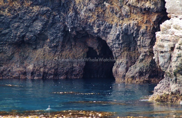 Anacapa Island Channel Islands sportfishing center Seafari Tour
