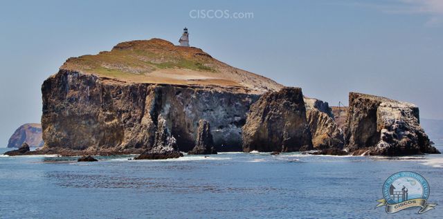 Anacapa Island Channel Islands Whale Watching