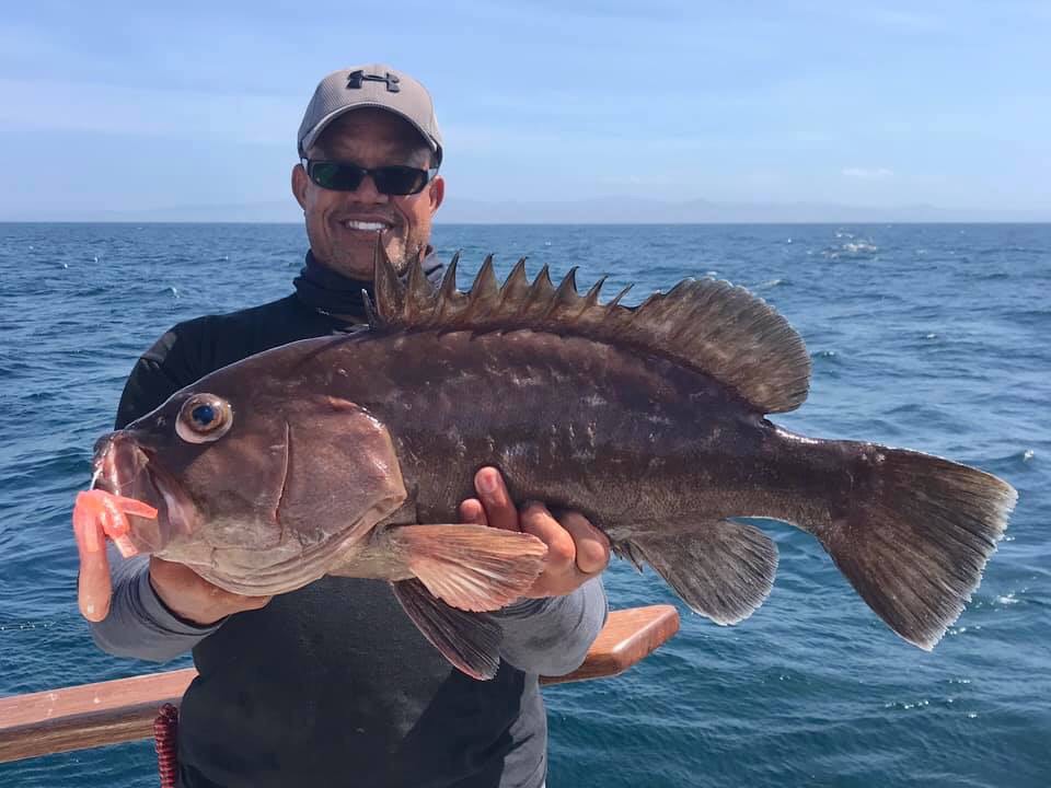 White Seabass, Halibut and more! – Channel Islands Sportfishing