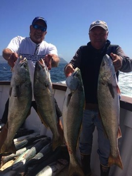 White Seabass on the Mirage Channel Islands Sportfishing