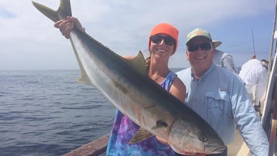 Read more about the article Yellowtail Fever Continues 8/7/16