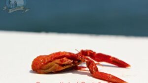 Read more about the article The fish are full of Red Crabs!