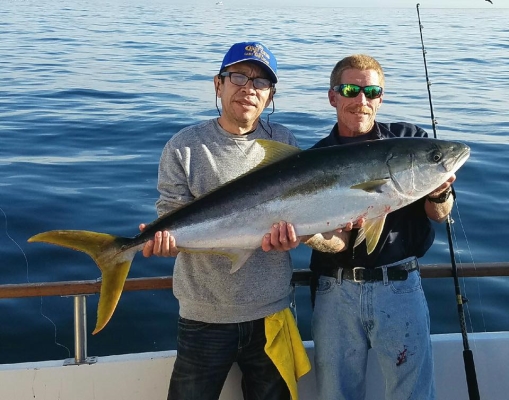 You are currently viewing Yellowtail bite slows but Rock fishing is good