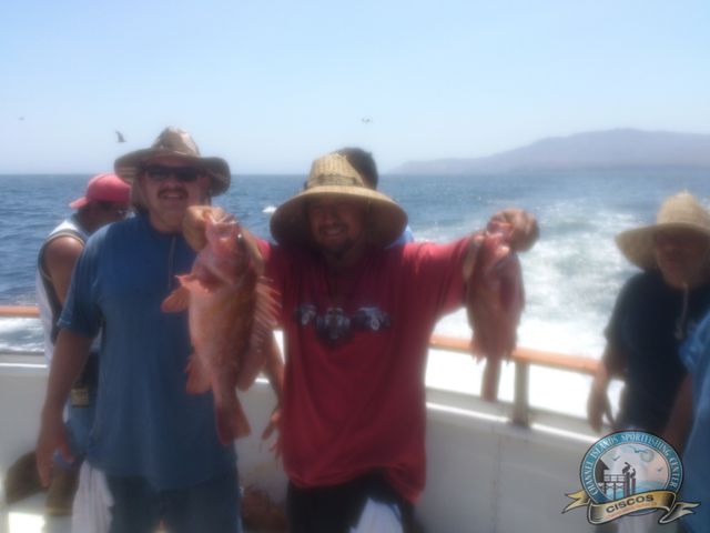 Rock fish in the Channel Islands Sportfishing