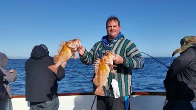 You are currently viewing Channel Islands Sportfishing Fish Report for April 30, 2017