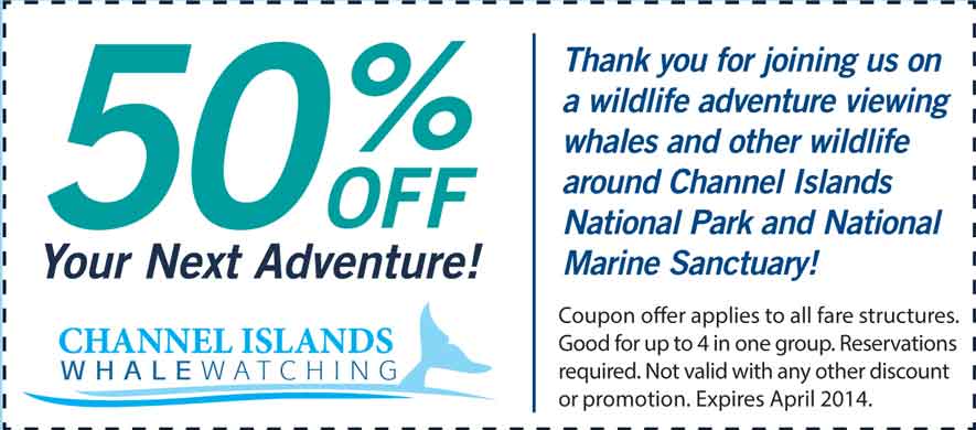 Channel Islands Whale Watching Coupon