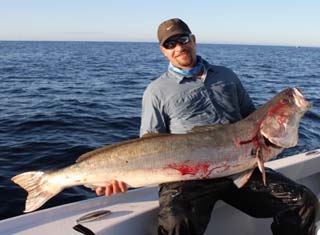 Angler Chronicles - White Sea Bass day here in Bahia De Los