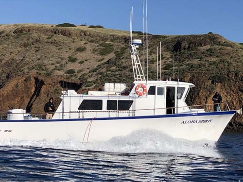 Charter Boats – Channel Islands Sportfishing